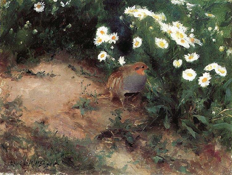 bruno liljefors Partridge with Daisies Sweden oil painting art
